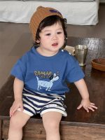 【73-110cm】Ｔシャツ or ショートパンツ ベビー 男の子 犬柄 ボーダー - 画像 (6)