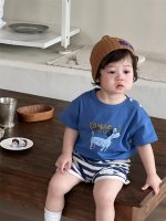 【73-110cm】Ｔシャツ or ショートパンツ ベビー 男の子 犬柄 ボーダー - 画像 (7)