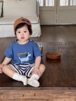 【73-110cm】Ｔシャツ or ショートパンツ ベビー 男の子 犬柄 ボーダー - 画像 (5)