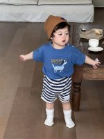 【73-110cm】Ｔシャツ or ショートパンツ ベビー 男の子 犬柄 ボーダー