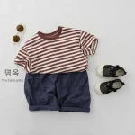 【80-130cm】Tシャツ ベビー ボーダー 通園・お出かけに - 画像 (13)