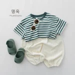 【80-130cm】Tシャツ ベビー ボーダー 通園・お出かけに - 画像 (5)