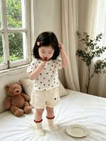 【73-120cm】トップスorパンツ ベビー おしゃれ 韓国風 - 画像 (4)