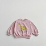 【100-160cm】トレーナー キッズ 恐竜 プリント 韓国風 - 画像 (6)